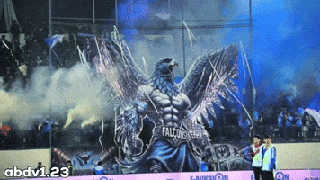 Falcons GIF