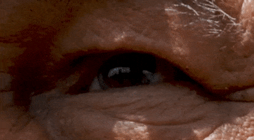Looking I See You GIF by Better Noise Music