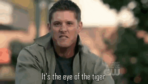  eye tiger GIF