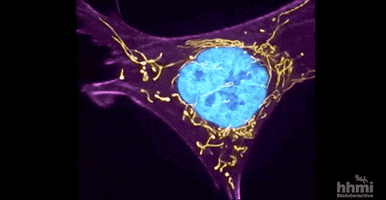 Biology GIF