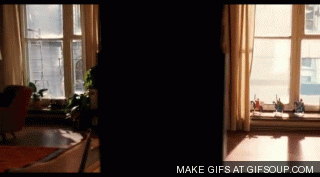 giphy.gif