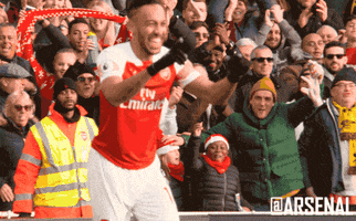 Premier League Yes GIF by Woolwich