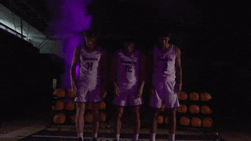 Tommie Mens Basketball GIF by Tommie Athletics