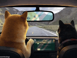 Mountains Roadtrip GIF by Own The Doge