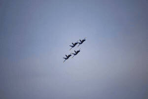 Navy GIF