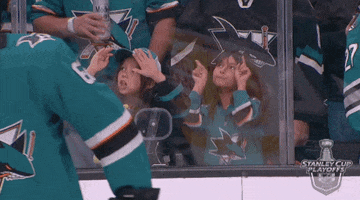 ice hockey dancing GIF by NHL