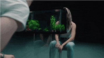 Love Songs Swimming GIF by Alec Wigdahl
