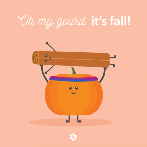 Its Fall Fitness GIF by Peerfit