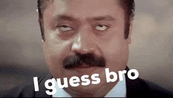 I Guess Bro GIF