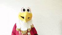 Eagles-mascot GIFs - Get the best GIF on GIPHY