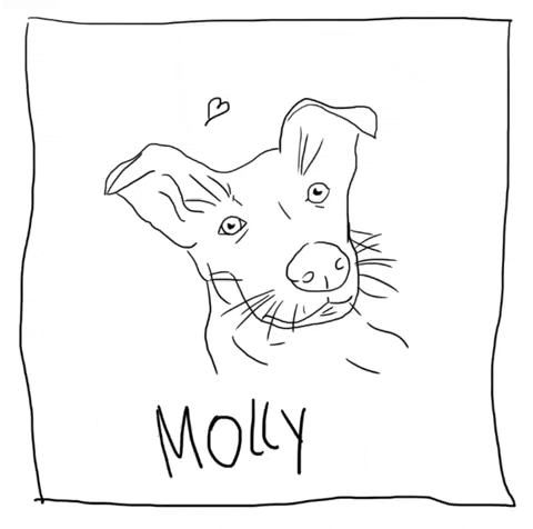 Dog Molly GIF by Maldito