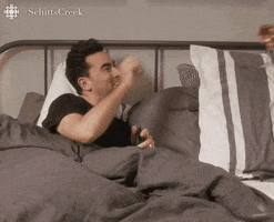dan levy love GIF by CBC