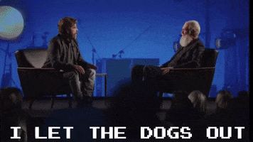 David Letterman GIF
