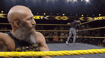 Wait What Reaction GIF by WWE
