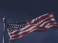 200w.gif