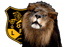 Soccer Win Sticker by Lusitânia de Lourosa FC