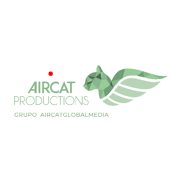 aircatproductions Sticker