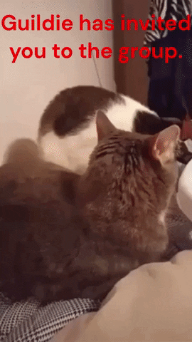Wow GIF