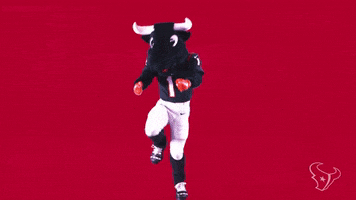 Mascot Dancing GIF by Houston Texans