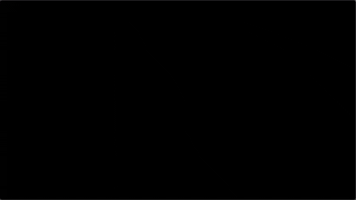 GIF by The Way I See It