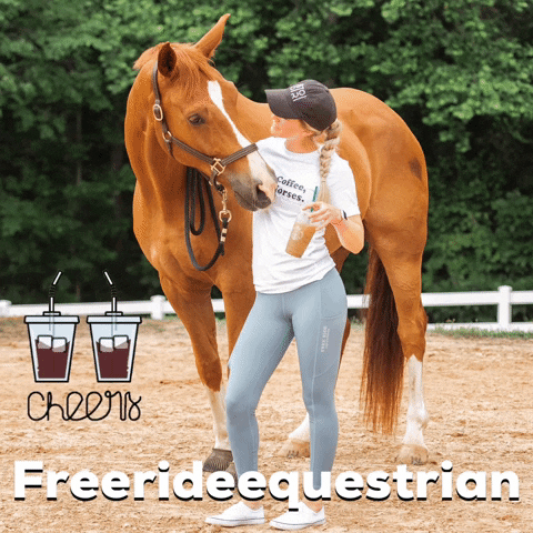 Freerideequestrian GIF