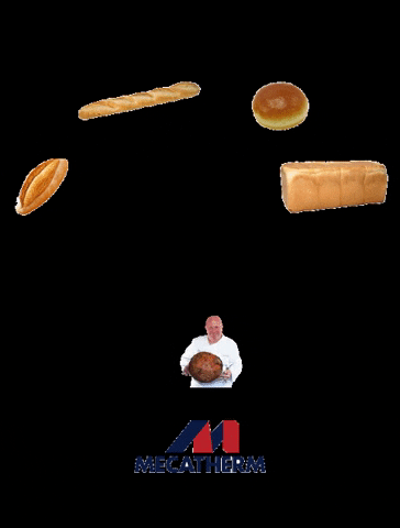 MECATHERM INDUSTRIAL BAKERY GIF