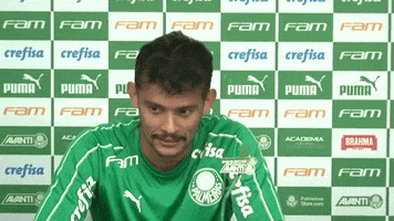 Palmeiras nice 2019 beleza legal GIF