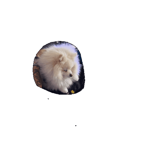 Tired Puppy Sticker by reelshort