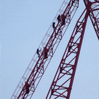 crane-carola-imix-iG3sOxSC0540wLglLl