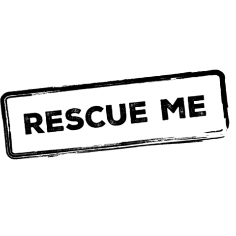 HeARTsSpeak rescue animal rescue rescue me heartsspeak GIF