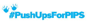 Automated Intelligence for PIPS Sticker