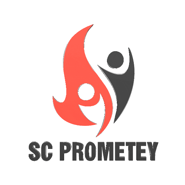 PROMETEYVC Sticker
