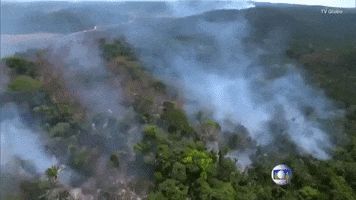 Fire Amazon Rainforest Brazil Wildfire Gif