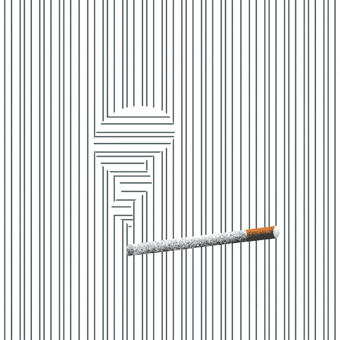 Brunobasttida line texture cigar queretaro GIF