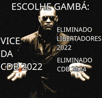 Copa Do Brasil B GIF