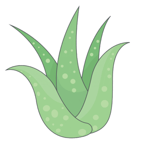 Aloe Sticker by Briogeo Hair