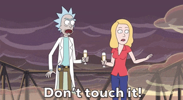 Dont Touch It Season 4 GIF by Rick and Morty