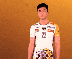 Volleyball Smile GIF by trefl_gdansk