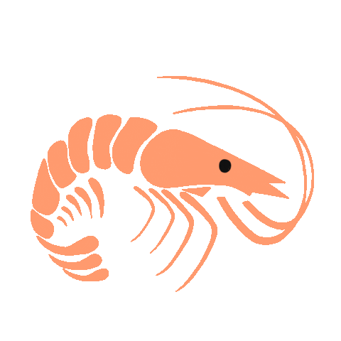 Beach Sticker