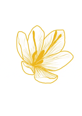 Flower GIF