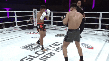 GLORYKickboxing muay thai knockouts glory kickboxing josh jauncey GIF