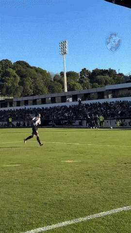 Vasco Da Gama GIF