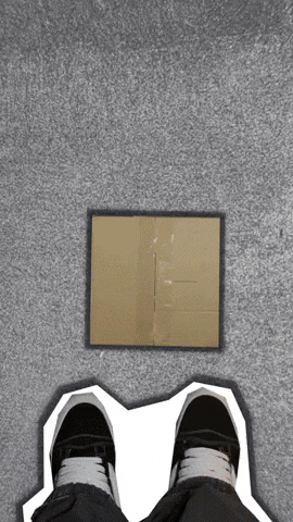 Skiesvtw GIF