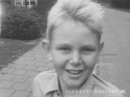 Plagen Snorremans GIF by BrabantinBeelden