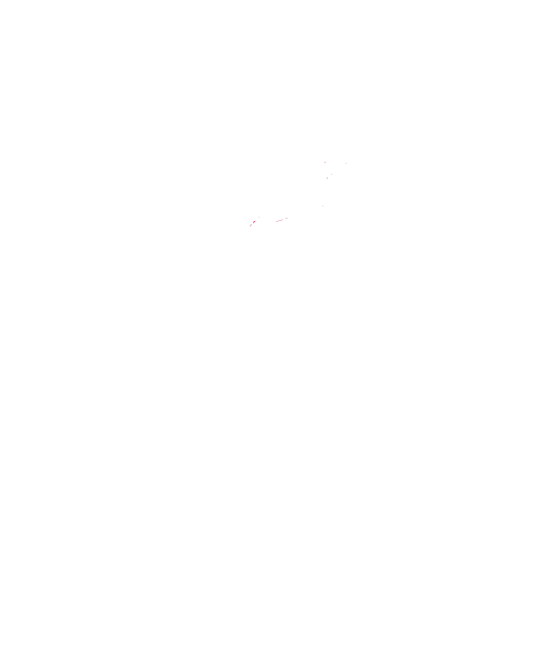 Corrida Thehardestrun Sticker by Overstress