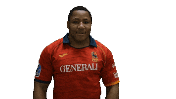 Fer Leones Sticker by FERugby