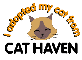 Cats Sticker by Cat Haven WA