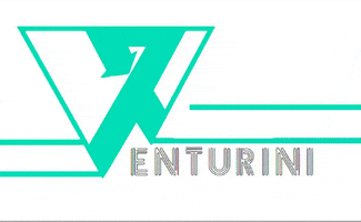 Venturini Viaggi GIF
