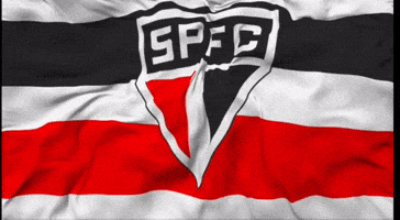 Sao Paulo Corinthians GIF