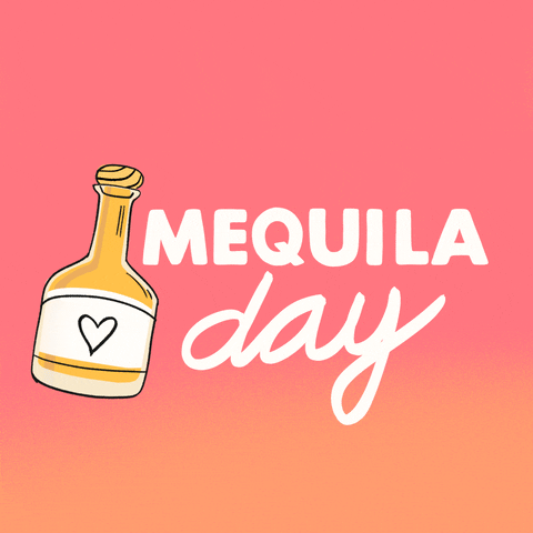 National Tequila Day GIF